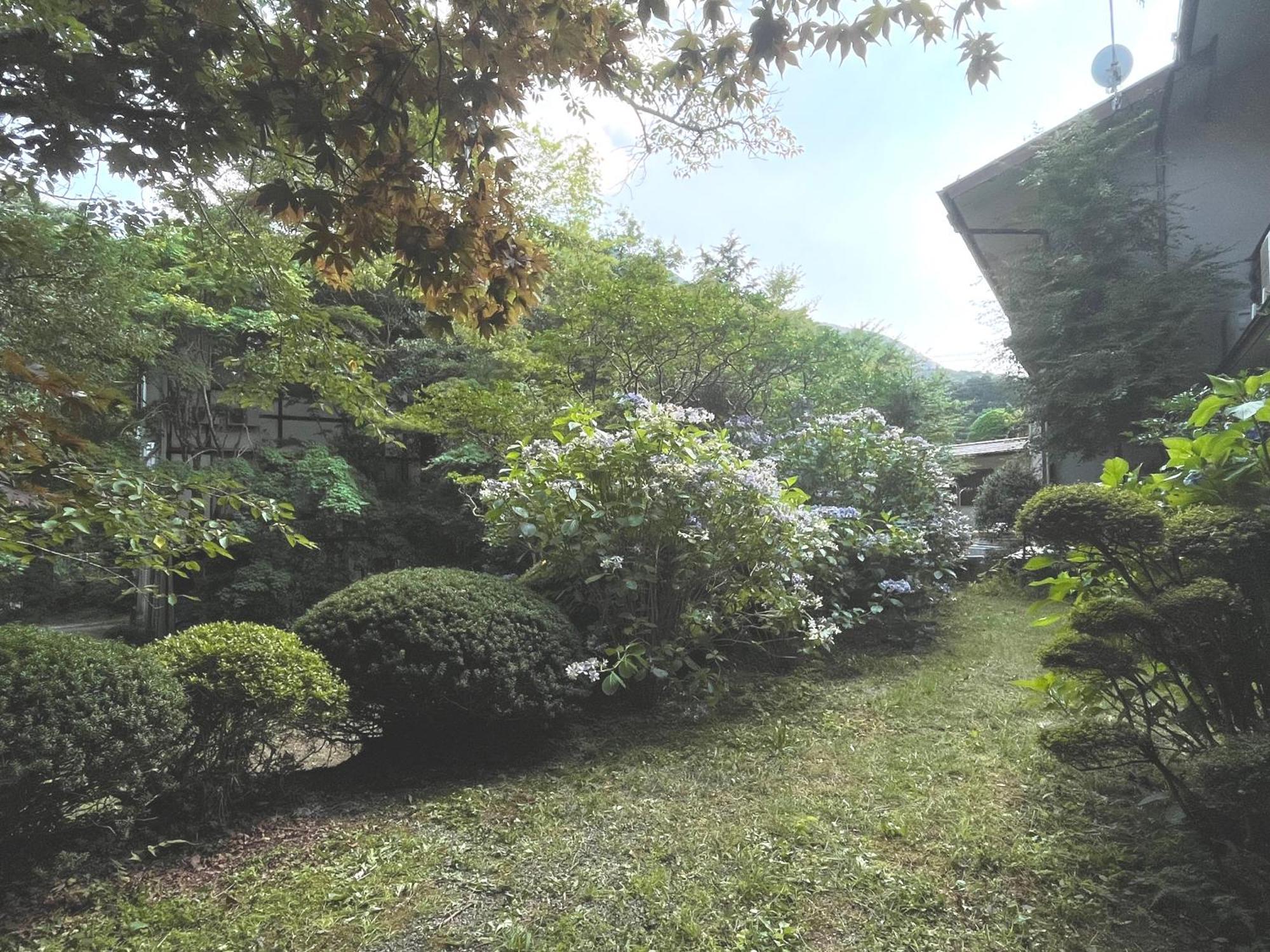 Mitake Hotel Hakone Ngoại thất bức ảnh